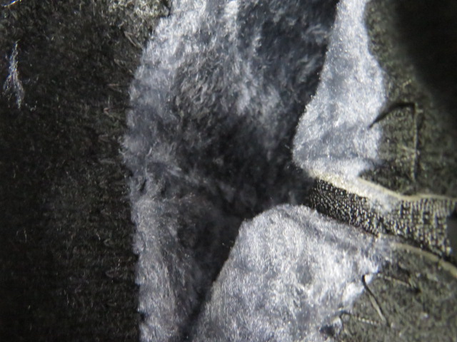 Botki Damskie B603 BLACK 37-42 3