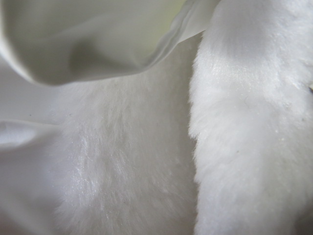 Botki Damskie 3555-2 JEDEN 36-41 3