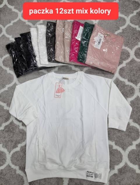 Bluza damskie 4313 Mix kolor Standard (Towar Tureckie) 1