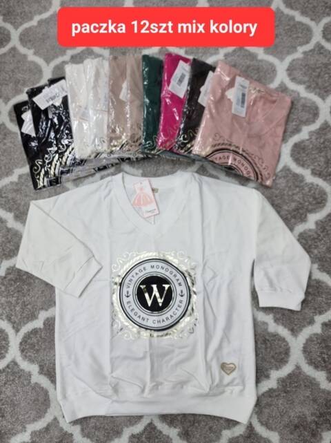 Bluza damskie 4315 Mix kolor Standard (Towar Tureckie) 1