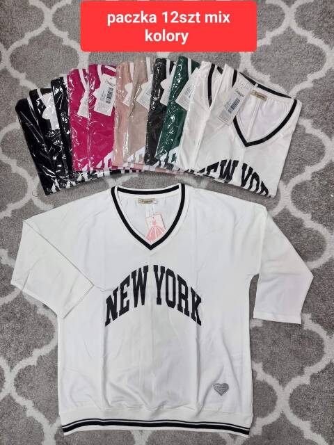 Bluza damskie 4324 Mix kolor Standard (Towar Tureckie) 1