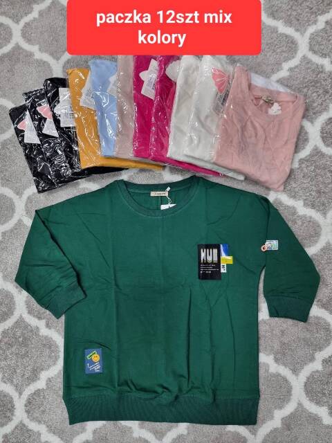 Bluza damskie 4331 Mix kolor Standard (Towar Tureckie) 1