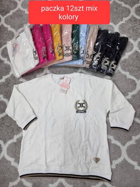 Bluza damskie 4337 Mix kolor Standard (Towar Tureckie) 1