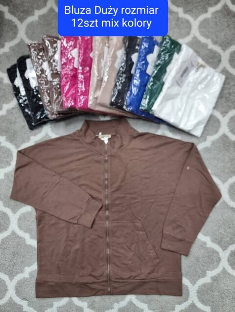 Bluza damskie 6896 Mix kolor Standard (Towar Tureckie) 1