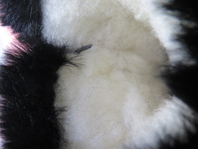 Botki Dziecięce W177 MIX2 25-30 3