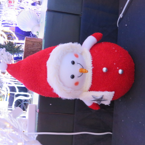 LED 230155 1 Kolor  30 cm 1