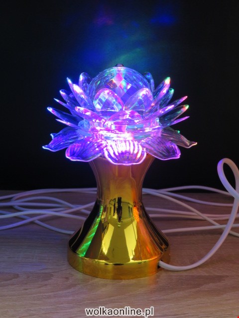 LED 111 1 KOLOR STANDARD