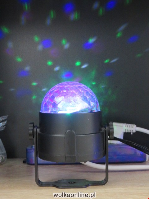 LED 22022 1 KOLOR STANDARD