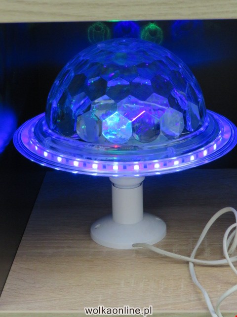 LED 7146 1 KOLOR STANDARD