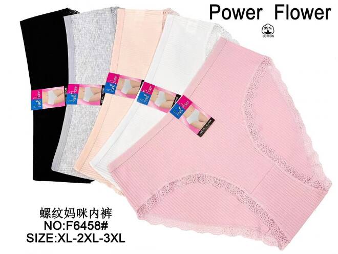 Majtki damskie F6458 Mix KOLOR  XL-3XL
