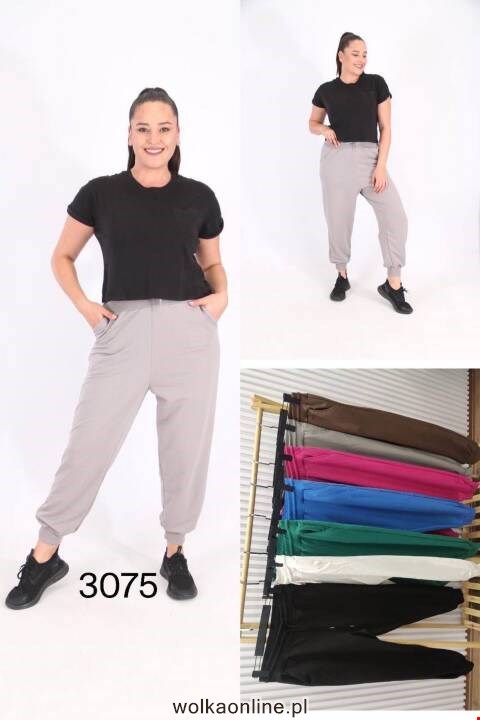 Spodnie damskie 3075 1 kolor 2XL-5XL (Towar Tureckie)