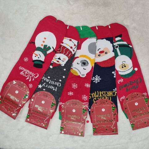 Skarpety Alpaka męskie SNP9360 Mix kolor 35-41