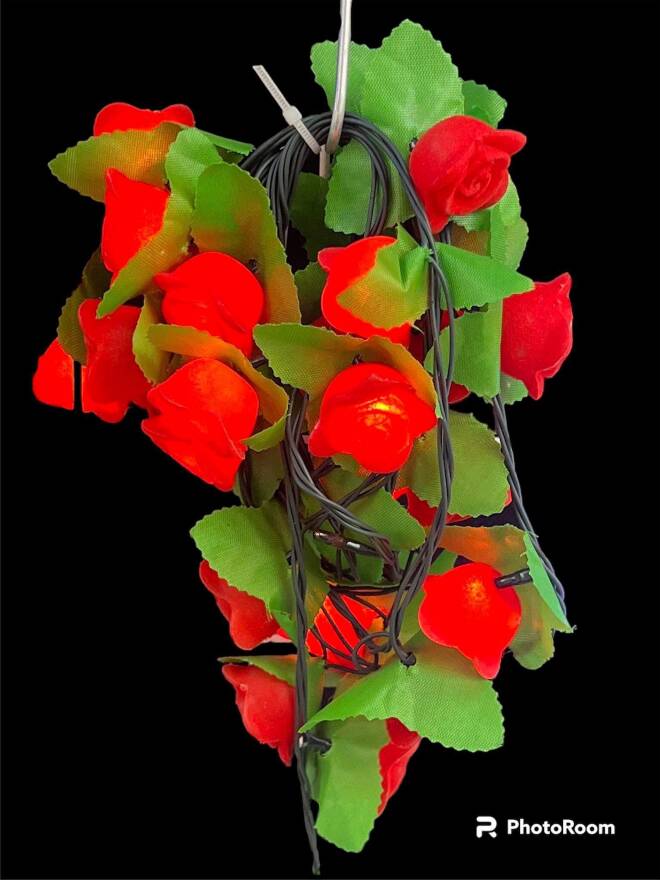 LED 9699 1 kolor   1