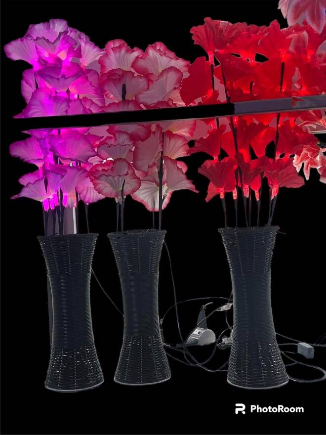 LED 2245-47 MIX KOLOR  standard 1