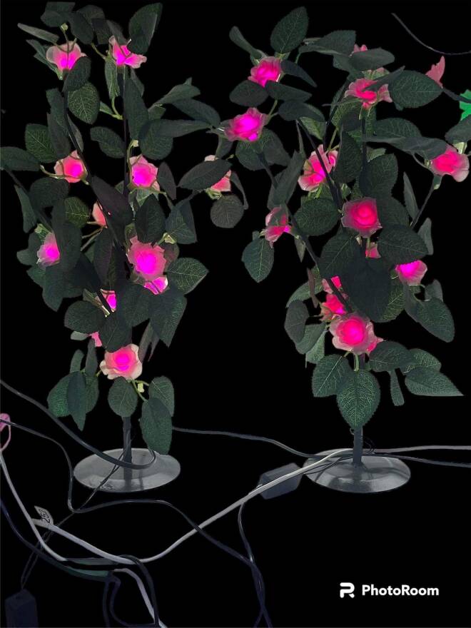 LED 2248-50 MIX KOLOR  standard 1