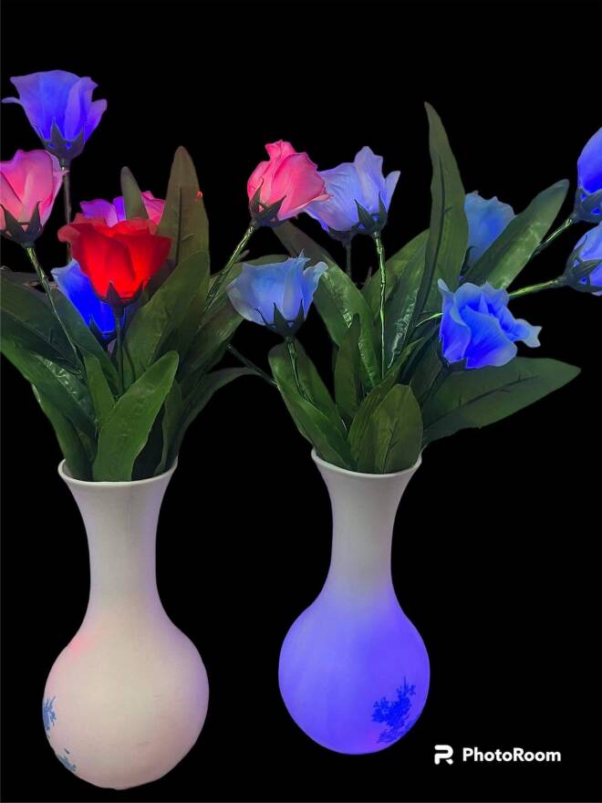 LED 2291 MIX KOLOR  standard 1