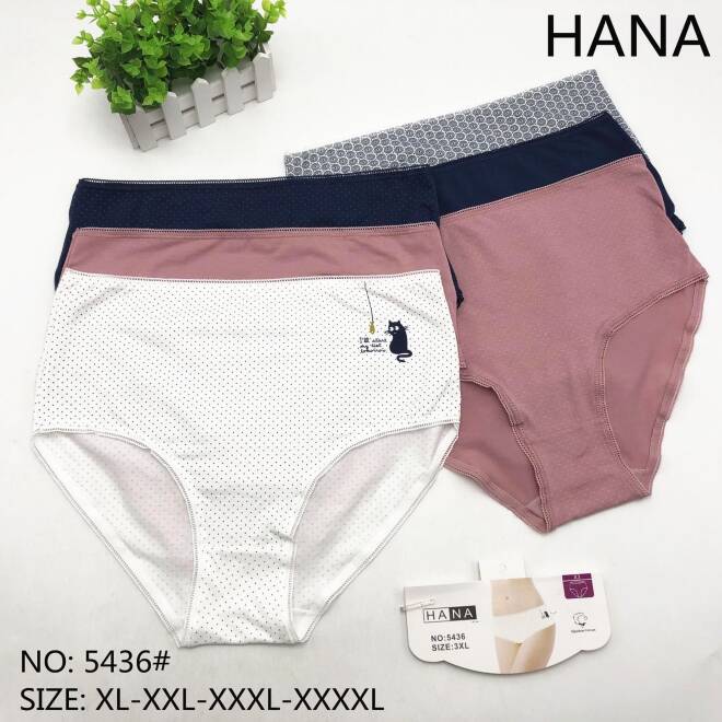 Majtki damskie 5436 MIX KOLOR  XL-4XL 1