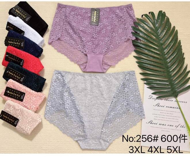 Majtki damskie 256 Mix KOLOR  3XL-5XL