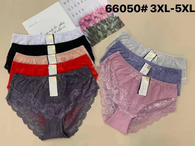 Majtki damskie 66050 Mix KOLOR  3XL-5XL 1