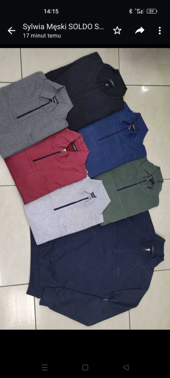 Bluza męskie 5397 1 kolor  M-2XL (Towar Tureckie) 1