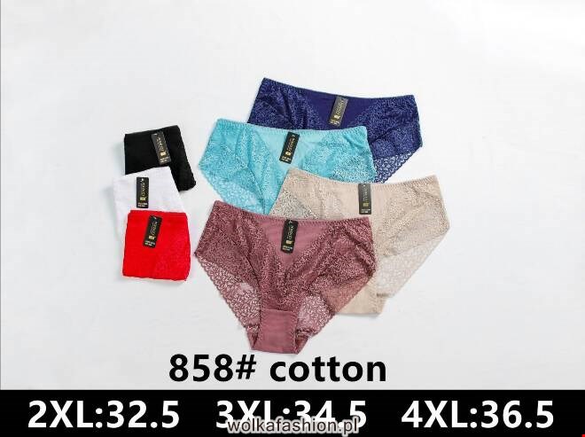 Majtki damskie 858 Mix KOLOR  2XL-4XL