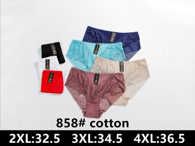 Majtki damskie 858 Mix KOLOR  2XL-4XL 1