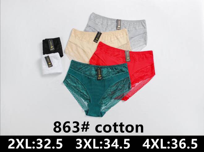 Majtki damskie 863 Mix KOLOR  2XL-4XL