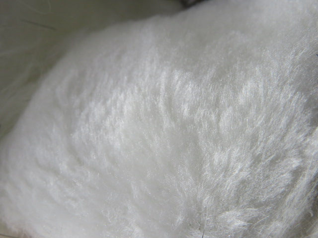 Botki damskie A806 WHITE 36-41 3