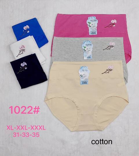 Majtki damskie 1022 1 kolor XL-3XL