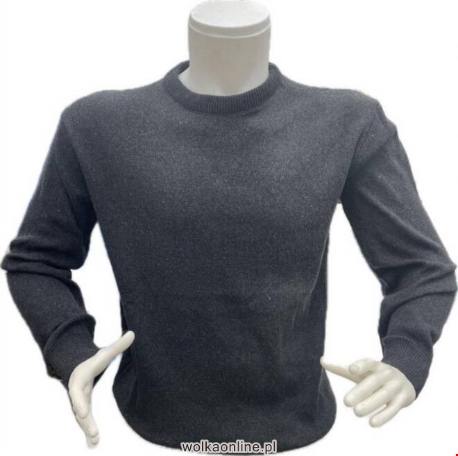 Swetry  męskie 4301 1 kolor  2XL-4XL (Towar Tureckie)