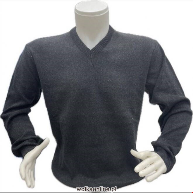 Swetry  męskie 4303 1 kolor  2XL-4XL (Towar Tureckie)
