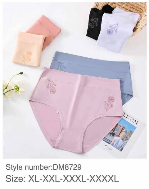 Majtki damskie DM8729 Mix kolor XL-3XL 1