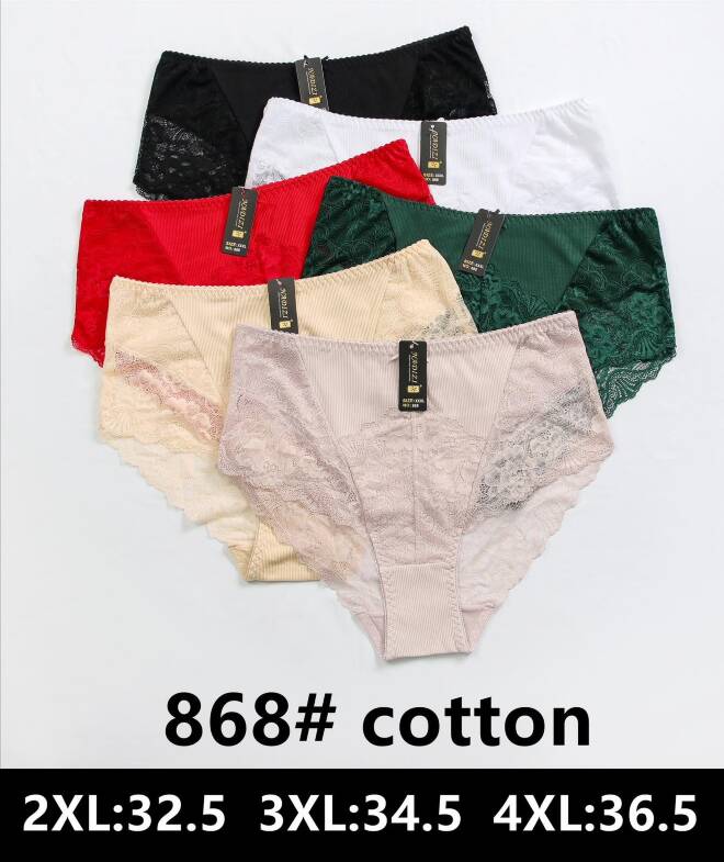 Majtki damskie 868 Mix KOLOR  2XL-4XL
