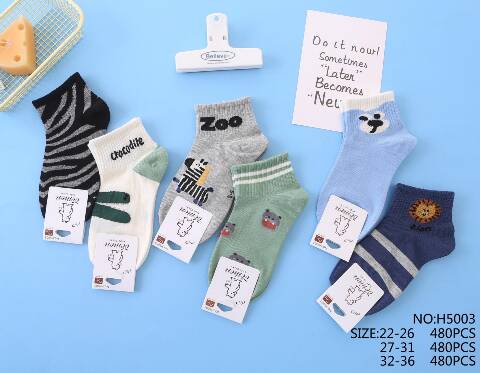 Skarpety dziecięce H5003 Mix kolor 22-36