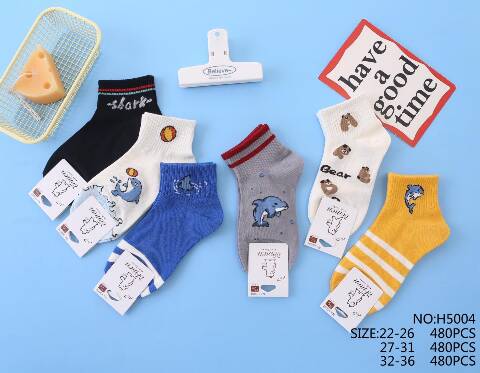 Skarpety dziecięce H5004 Mix kolor 22-36