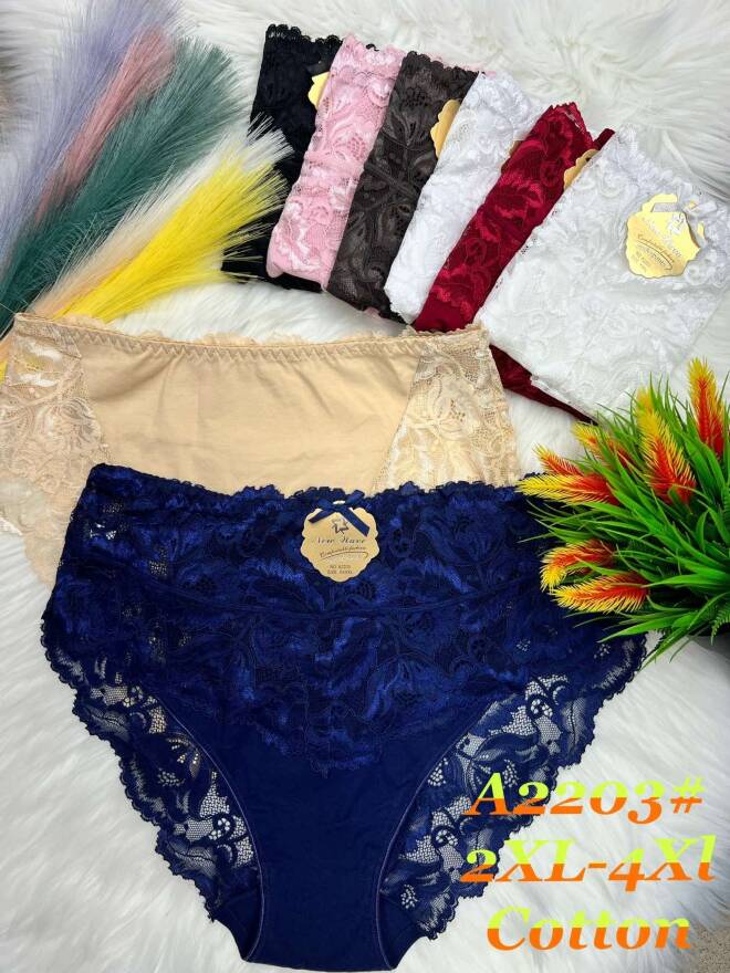 Majtki damskie A2203 MIX KOLOR  2XL-4XL