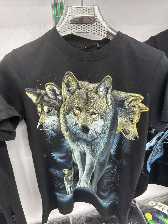 Bluzka męskie 87012 1 KOLOR S-2XL 1