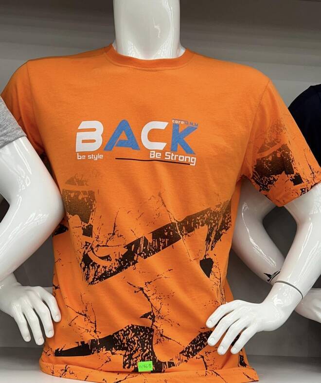 Bluzka męskie 1121 MIX KOLOR M-2XL 1