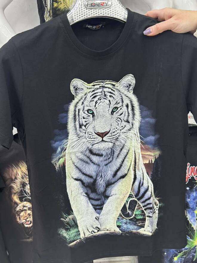 Bluzka męskie 87049 1 KOLOR S-2XL 1