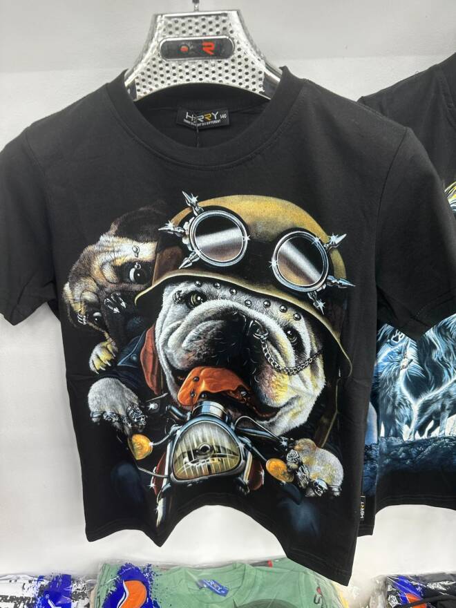 Bluzka męskie 87009 1 KOLOR S-2XL 1