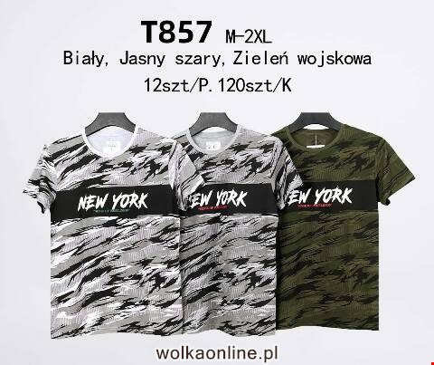 Bluzka Męskie T857 Mix kolor M-2XL