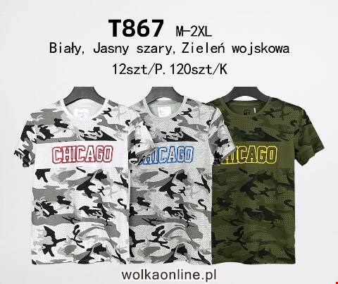 Bluzka Męskie T867 Mix kolor M-2XL