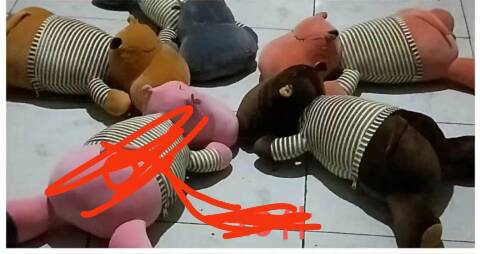 Maskotki B53 Mix kolor Standard 1