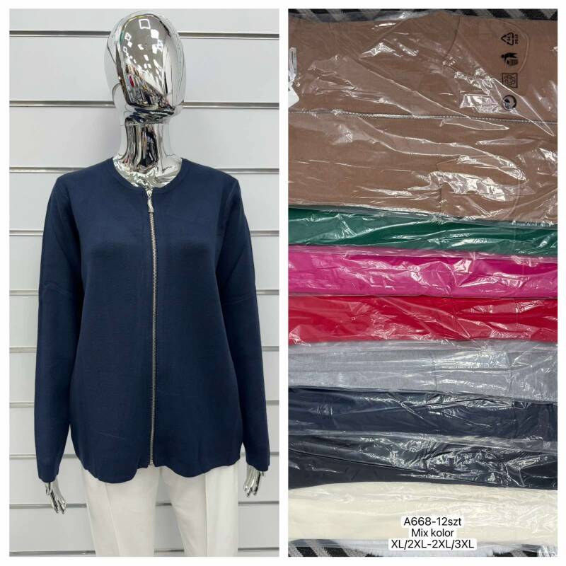 Bluzy damskie Roz XL/2XL-2XL/3XL, Mix Kolor Paczka 12 szt