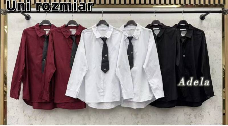 Koszule  damskie (Włoskie produkt) Roz Standard, Mix Kolor Paczka 5 szt