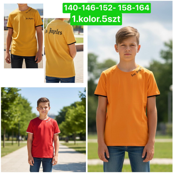 Bluzki chłopięce Roz 140-164, 1 kolor Paczka 5 szt